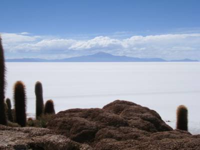 ile INTI en plein milieu du salar - incroyable
