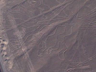 NASCA - survol des lignes