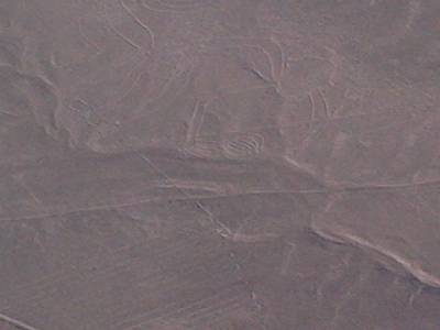 NASCA - survol des lignes