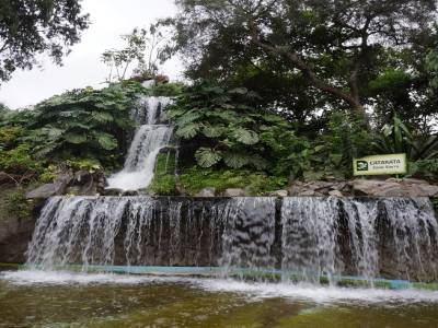 Zoo Lima