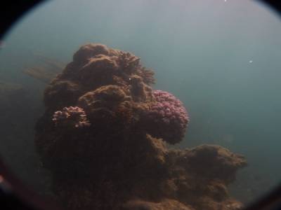 Vue sous marine