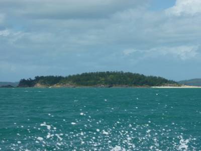 Petite île