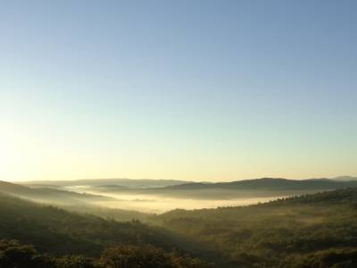 Saint-Paul en foret au petit matin