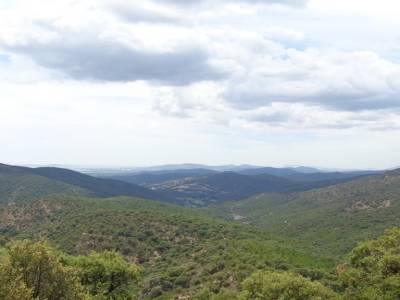 le massif des Maures