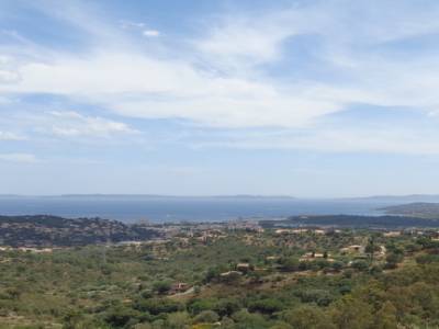 Bormes les mimosas