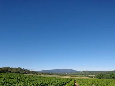 la sainte victoire