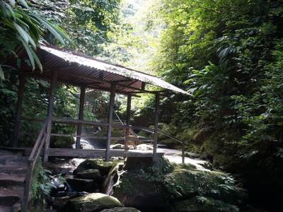 Ahuashiyacu