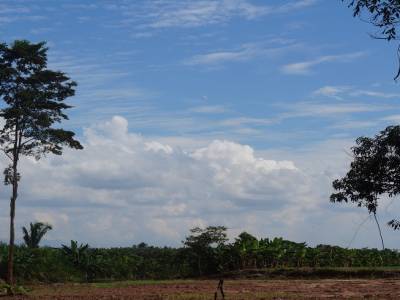 Campo