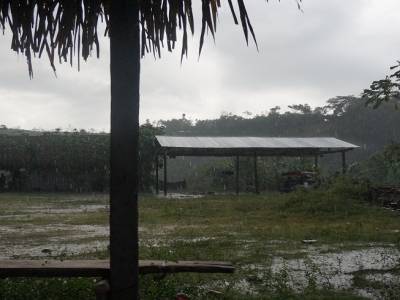 Pluie tropicale