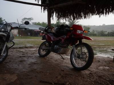 Pluie tropicale