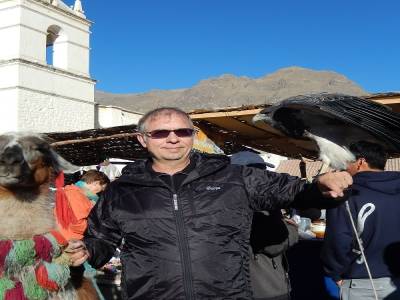 Lama (long cou) et condor
