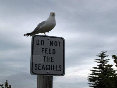 saint ignace