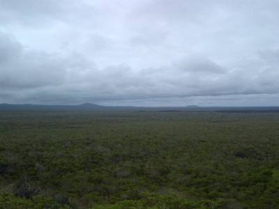 GALAPAGOS - ISABELA - vue de l'île