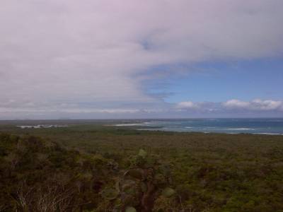 GALAPAGOS - ISABELA - vue de l'île