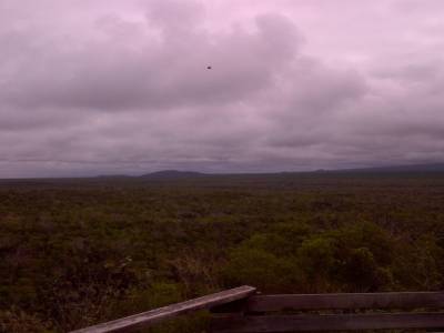 GALAPAGOS - ISABELA - vue de l'île