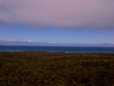 GALAPAGOS - ISABELA - vue de l'île