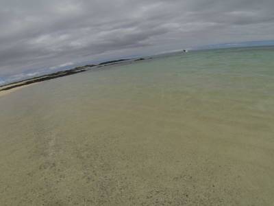 GALAPAGOS - SEYMOUR NORTE - la plage