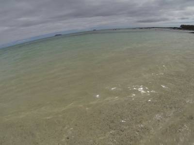GALAPAGOS - SEYMOUR NORTE - la plage