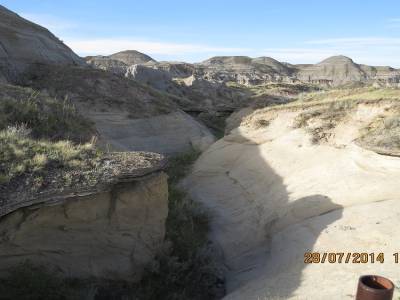 parc de dinosaure brooks   alberta 