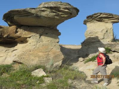 parc de dinosaure brooks alberta 