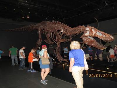 musée tyrrel de drumheller   alberta 