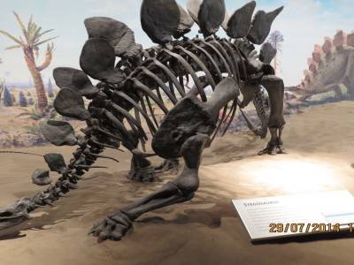 musée tyrrel de drumheller   alberta 