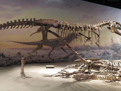 musée tyrrel de drumheller  alberta 
