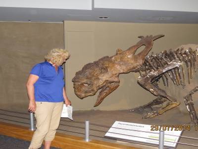 musée tyrrel de drumheller   alberta 