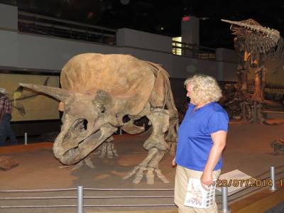 musée tyrrel de drumheller   alberta 