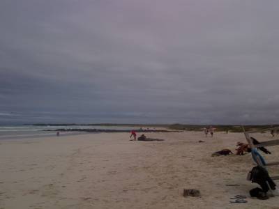 GALAPAGOS - île de Santa Cruz - tortuga bay