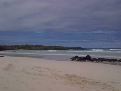 GALAPAGOS - île de Santa Cruz - tortuga bay