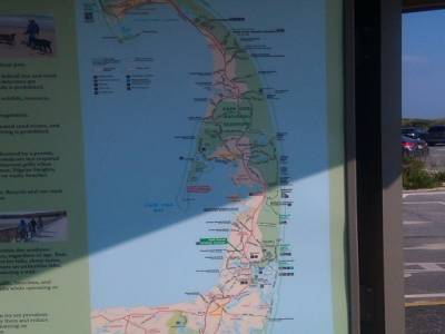 cape cod