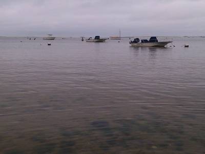 beach des coquillages