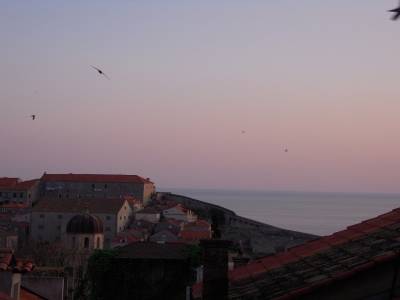 Vielle ville-Dubrovnik