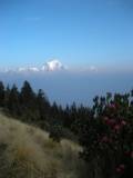 Dhaulagiri