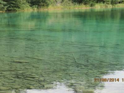 parc national de jasper 