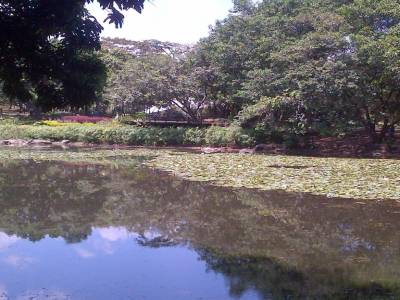MEDELLIN - jardin botanic
