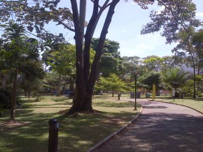 MEDELLIN - jardin botanic
