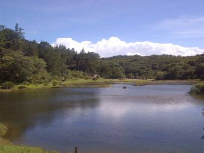 MEDELLIN - parc ravi