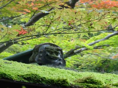 Kyoto