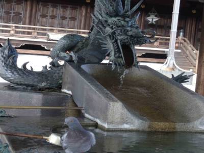 Kyoto