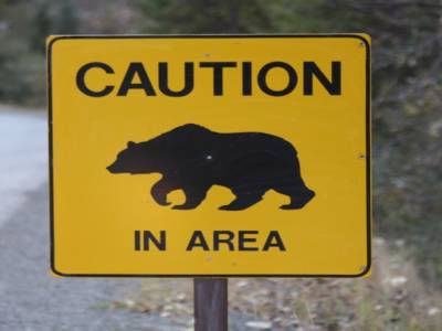 Caution Bear