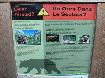 Attention aux ours