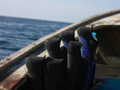 Snorkeling time