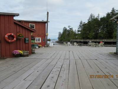 telegraphe cove,ile de vancouver,colombie-britannique