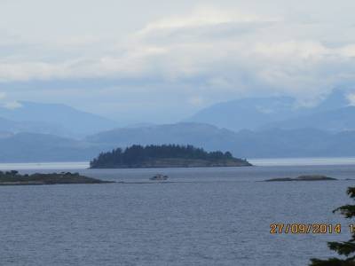 telegraphe cove,ile de vancouver,colombie-britannique