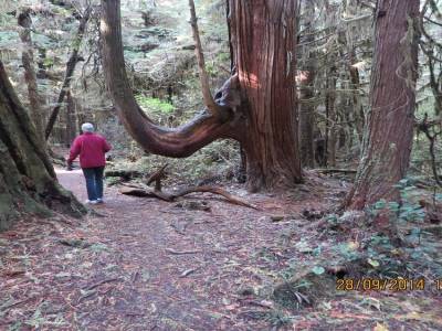 pacific rim,ile de vancouver,colombie-britannique