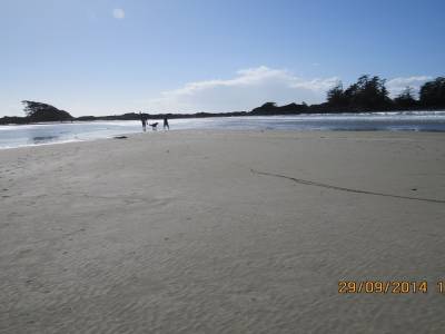 pacific rim,ile de vancouver,colombie-britannique