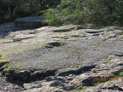pacific rim,ile de vancouver,colombie-britannique