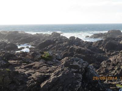 ucluelet,ile de vancouver,colombie-britannique